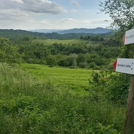 Santa Felicita La Paterna Lantställe Todi