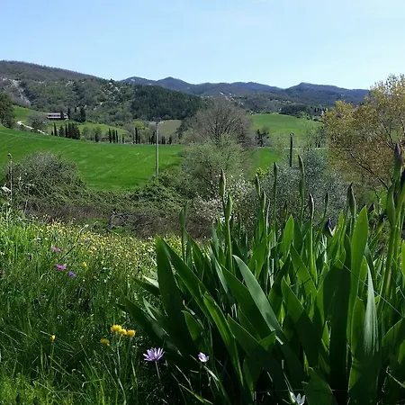 Santa Felicita La Paterna