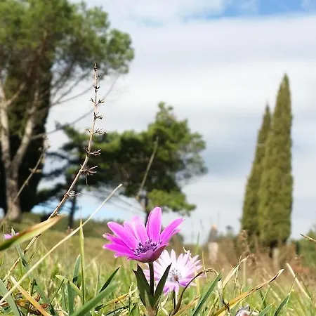 Santa Felicita La Paterna *