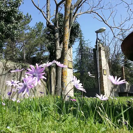 Santa Felicita La Paterna Lantställe Todi